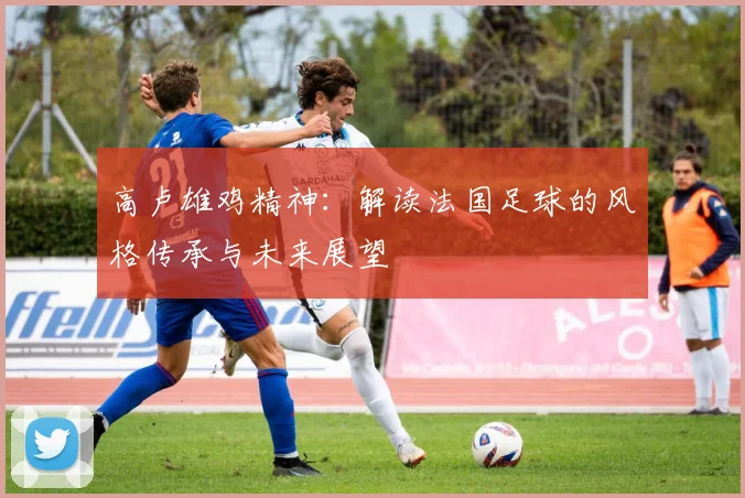 高卢雄鸡精神：解读法国足球的风格传承与未来展望